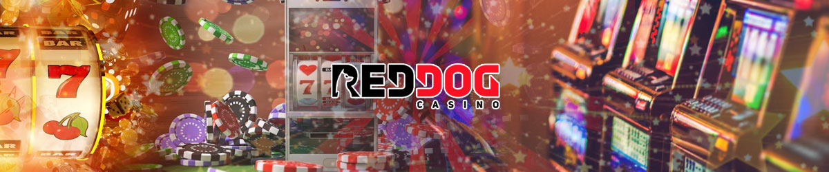 Real Money Slot Games at Red Dog Casino (2020)
