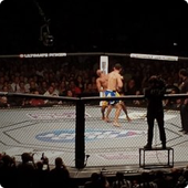 UFC Fights
