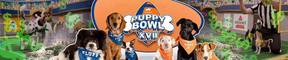Puppy Bowl Betting Guide for 2021