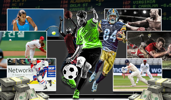 You can bet on almost any sport online.