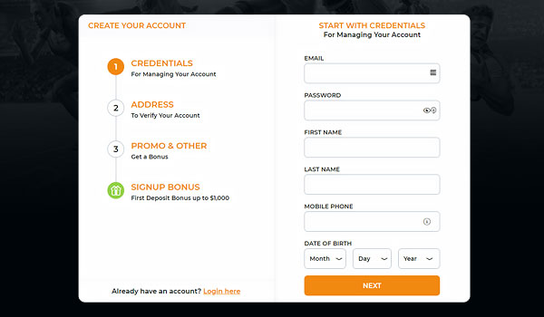 A typical signup form at an online betting site