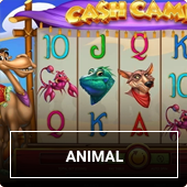 Animal slots