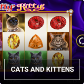 Slot machines with cats and kittens