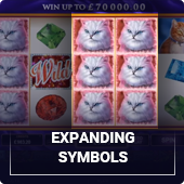 Slot machines with the expanding symbols feature