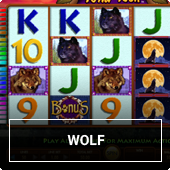 Slots with wolf themes and symbols