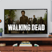 The Walking Dead TV Show