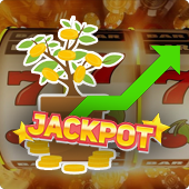 How progressive jackpots grow