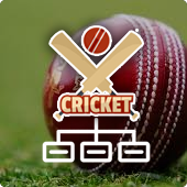 The different cricket formats