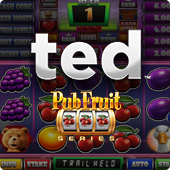 Ted Pub Fruit slot by Blueprint Gaming