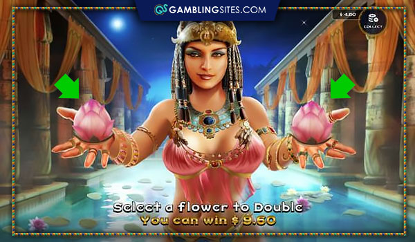 The gamble feature adds an adult element to A Night With Cleo.