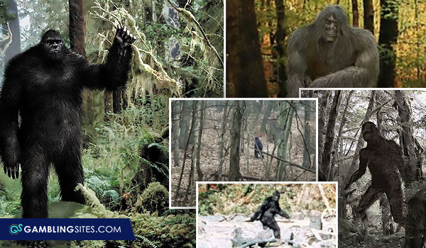 Bigfoot in the Woods