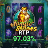 Jungle Stripes return to player percentage