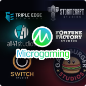 Microgaming partner studios