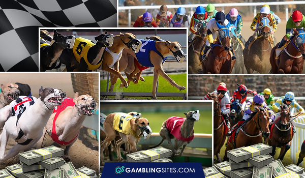 Pari-mutuel betting is most popular in horse and dog racing.