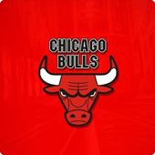 Chicago Bulls Logo
