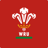 Wales Rugby Crest