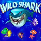 AMATIC’s Wild Shark slot game