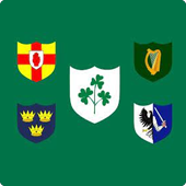 Ireland rugby flag