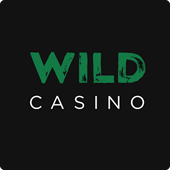 Wild Casino graphic logo