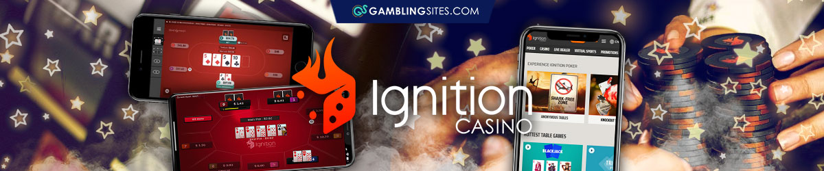 Ignition Casino App Banner, App Overview