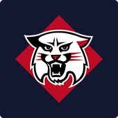 Davidson logo