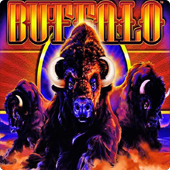 Buffalo Gold