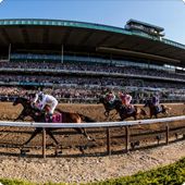 Belmont Park track