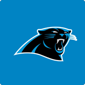 Panthers team logo