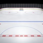 Hockey rink