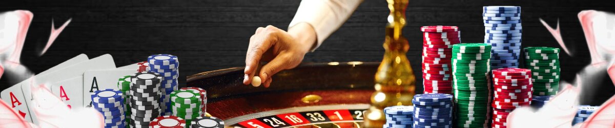 Why You Really Need Cockfight Betting App