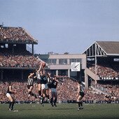 CARLTON AND COLLINGWOOD