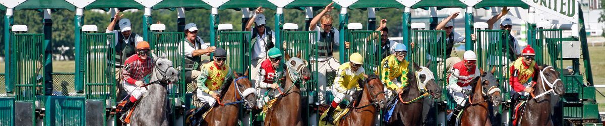 Horse Racing Gate with horses