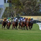 horse_racing