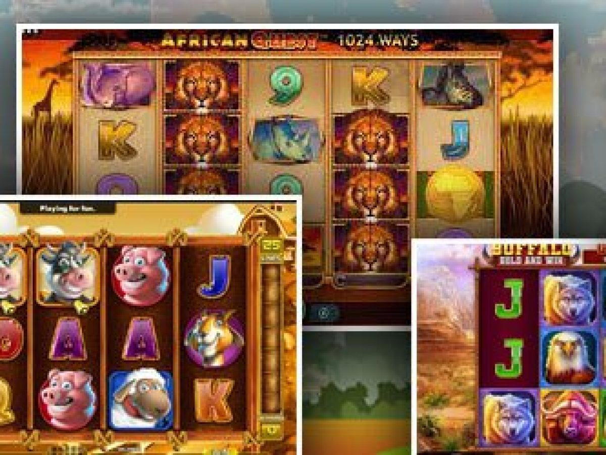 6 Animal Slot Games to Play Online (and Where to Find Them)