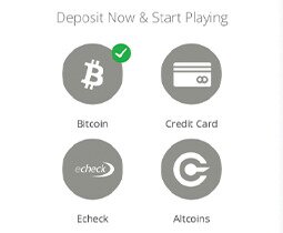 Wild Casino deposit options