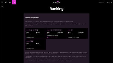 Banking options list at El Royale Casino