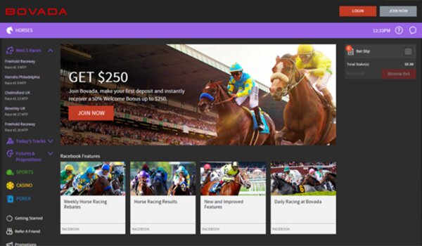 Bovada Sportsbook Review 2023 - Rated 3.6/5 By Online Sports Fans