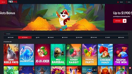 Homepage at Red Dog Casino