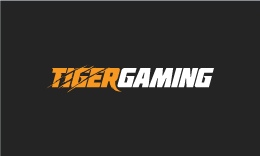 Tiger Gaming logo, text on a dark background