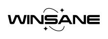 winsane casino logo on white