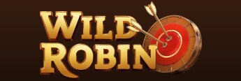 Wild Robin logo, gold text on maroon background