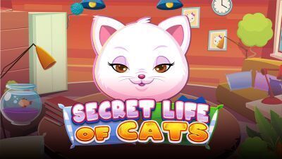 Secret Life of Cats