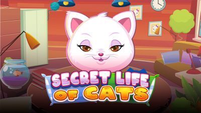 Secret Life of Cats