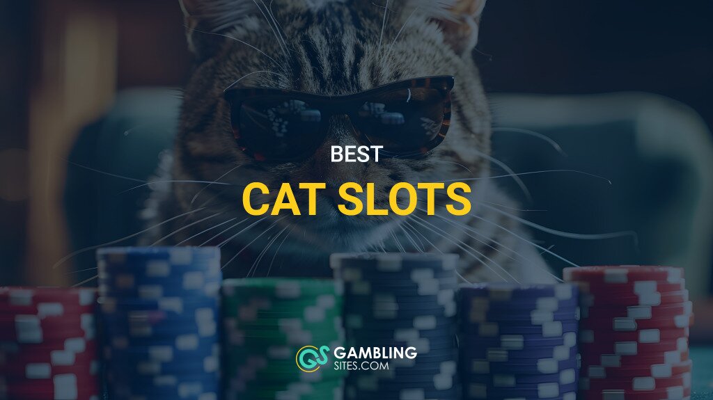 cat slots feature image