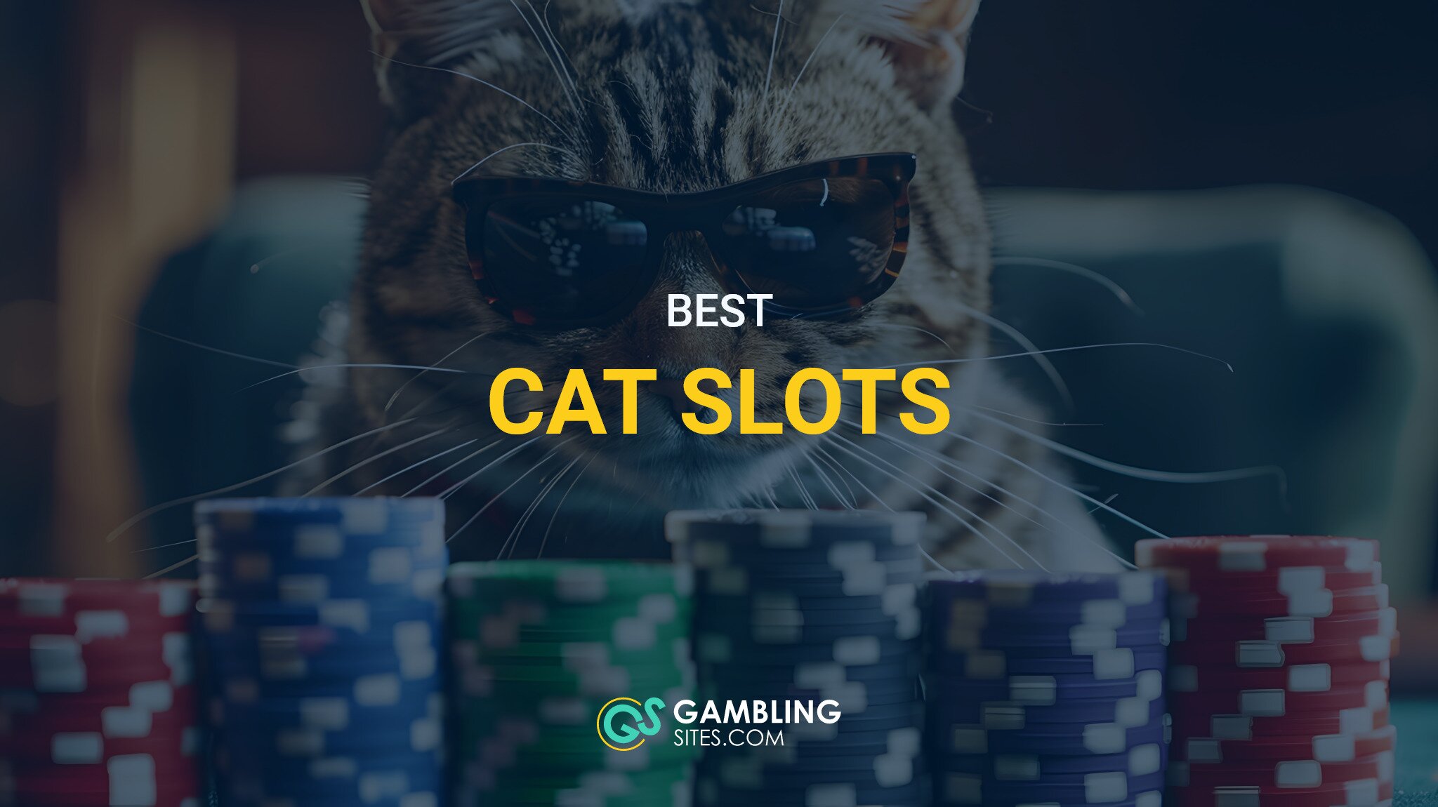 10 Best Cat Slots to Play Online