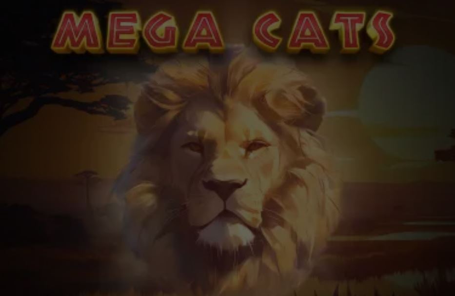 mega cats