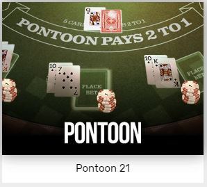 pontoon 21