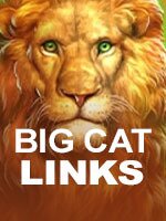 BigCatLinks slot game