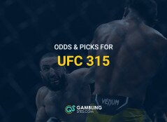 ufc315
