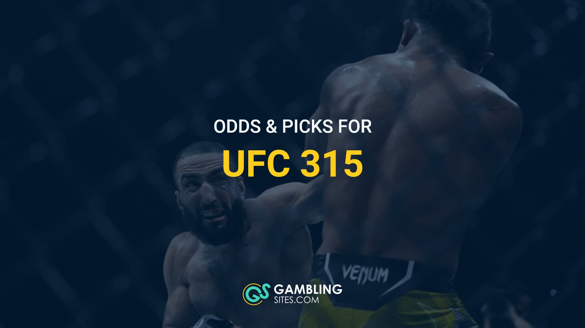 ufc315